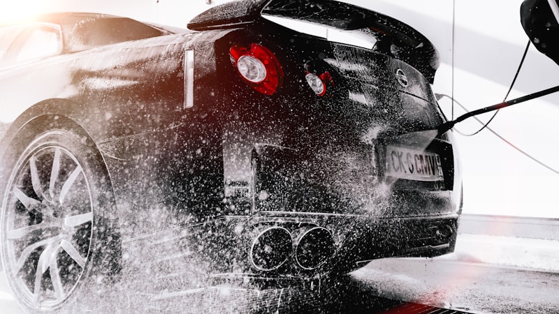 Paint Correction Before